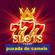 puxada do camelo